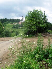 která vede na vrch Živčáková