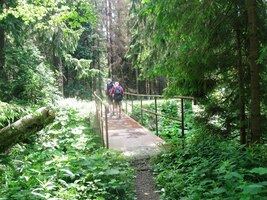 Cesta končí na silnici