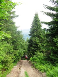 místy i z hodně prudkého kopce