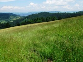 po svažitých polanách