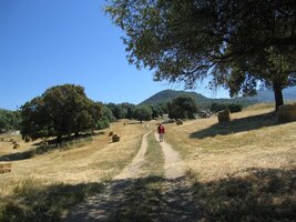 Cesty jsou tu ale normální a z dneška,