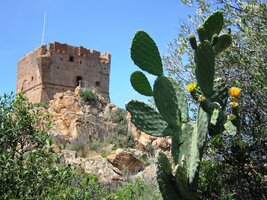 a výhled od místní zříceniny také