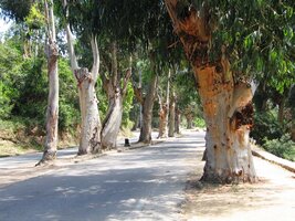 Ani se nám nechce odjíždět