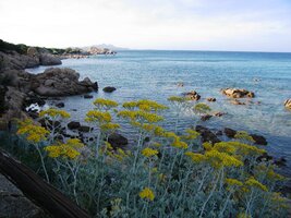 a shledáváme je úžasným