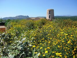 před sebou jednu z věží staré pevnosti