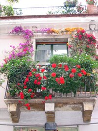 s "květinovými balkóny"