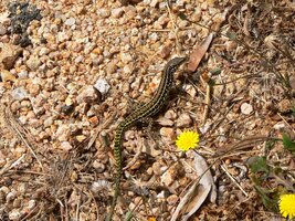 19 (Toť vše, jeďte tam!!!)