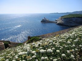a všude kolem je kvítí jak naseto