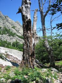 na horkou horskou túru