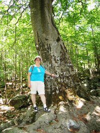 Další den stoupáme zrána ještě stinným lesem