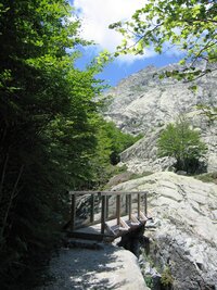 a raději se šli osvěžit dolů k vodě