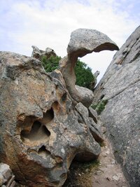 Vskutku divoké - inu, "Medvědí mys"