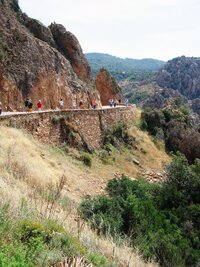 Obklopují silnici ze všech stran