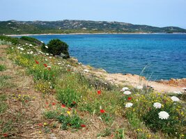 na Smaragdovém pobřeží