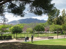 Nad parkem ční příbřežní hory,