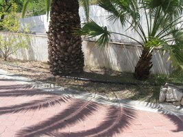 Slunce je velký malíř, že?