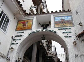 Tady mají muzeum býků