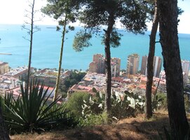 a smaragdová hladina moře