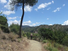 Na sever střeží zahradu hory