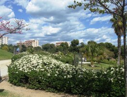 v jeho prostorách řádí fotosyntéza