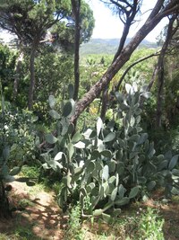 Někdy je to pěkný propletenec!