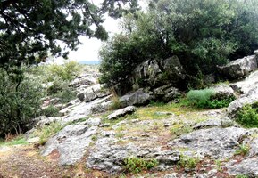 Na zpáteční cestě projíždíme přírodní rezervací