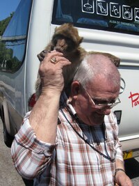 Náš řidič zná všechny opičky osobně