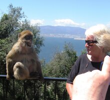 A hele, tady je další opice!