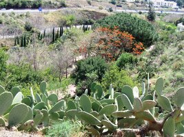 takže tu může panovat božský poklid