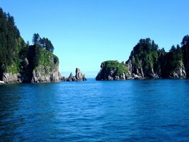 pozorovali tuleně, mrože, rypouše