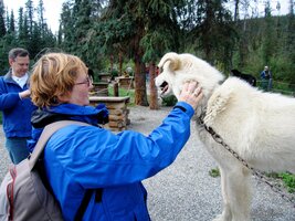 a tohoto je dokonce povoleno piohladit