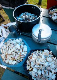 a končí. Dvanáct lidí to nemohlo sníst!