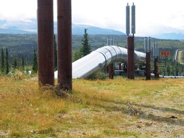 dlouhého přes 800 mil