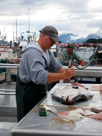 v podvečer se ty největší porcují