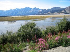 V každém případě je ale nádherné