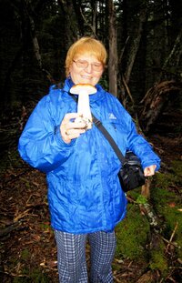 Houbařské šílenství začíná,