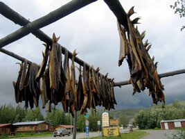 Ryby se tu suší obvyklým severským způsobem