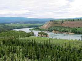 Tam dole je past na kolesové parníky se zlatokopy -