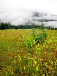 a je zde k vidění spousta zvěře