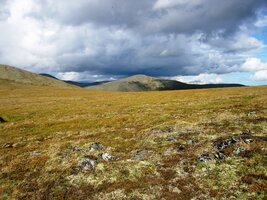 okolo sedla Eagle Pass v masivu Pinell Mountains