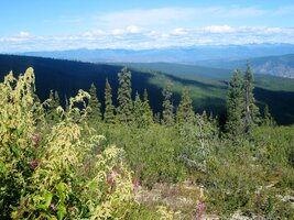 Tohle je zastávka kousek za Dawson City