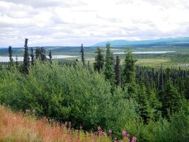 který se pozvolna sune z hor do řeky Matanusca River