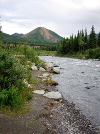 s nějakým urostlým exemplářem místní četné fauny