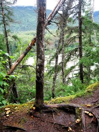 a dívá tušit, že to bude perných 54 km