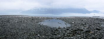 k trdlišti lososů v zálivu Salamon Gulch