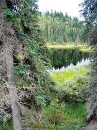 Vydáváme se na malou pěší procházku kolem malebných jezírek,
