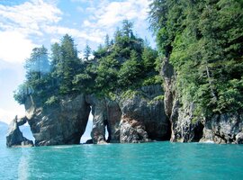 Zde jsme pozorovali hnízda mořských orlů