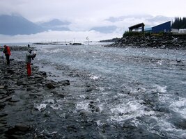 Pod výpustí vody ze spádové elektrárny se tu vytírají a umírají tisíce lososů