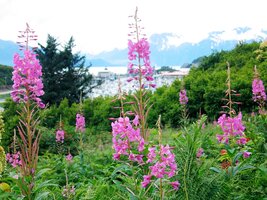 Je malebný až romantický