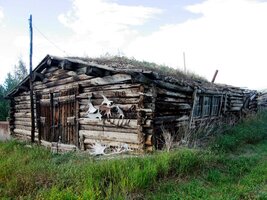 Toto jsou sruby objevitelů zlata na Klondike